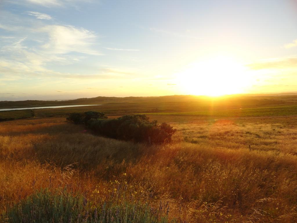 High View Family Cottages Warrnambool Eksteriør billede